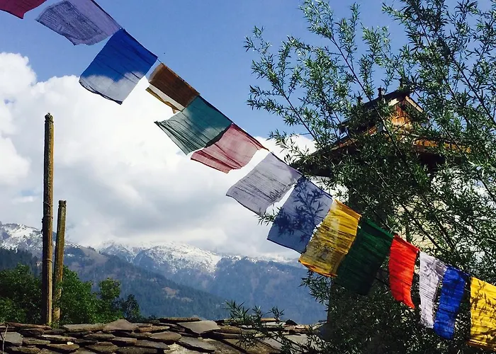 Bros Hostel Manali