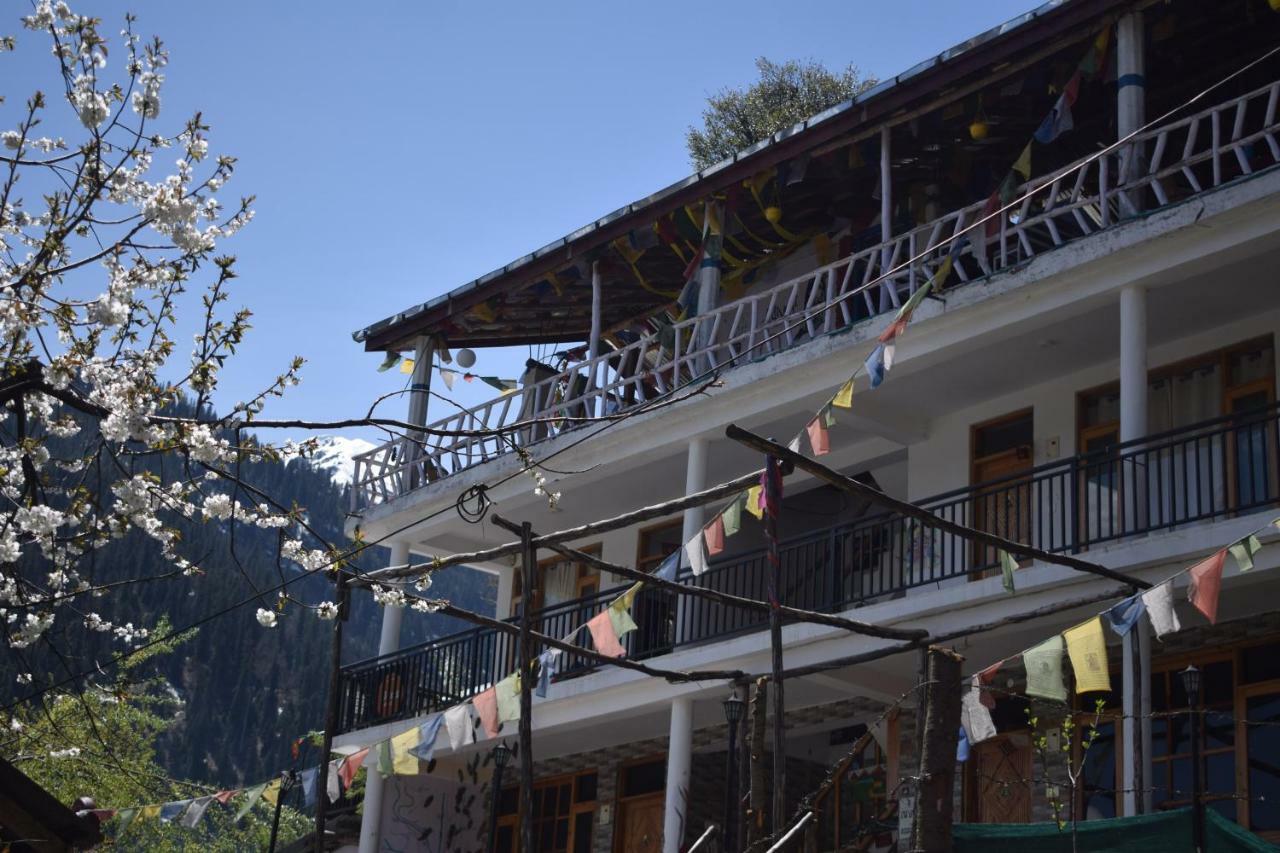 Bros Hostel *